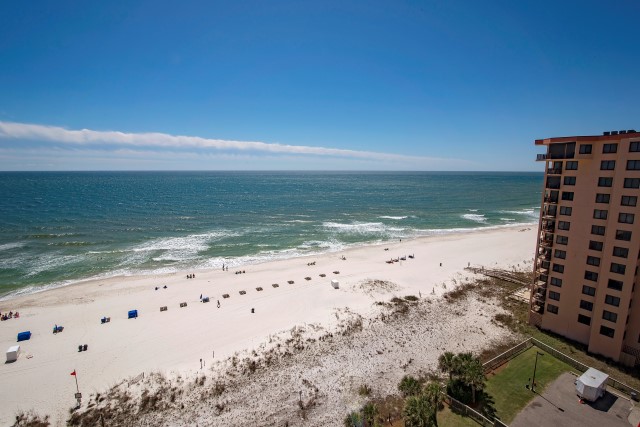 Availibility for Regency Isle Orange Beach, AL 1008 Vacation Rental